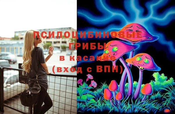 СК Заводоуковск