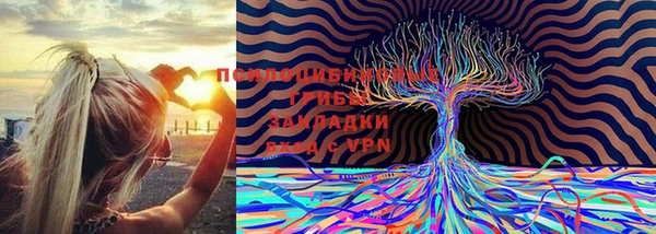 а пвп мука Заволжье