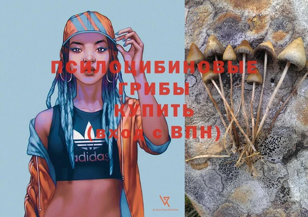 тгк Заволжск