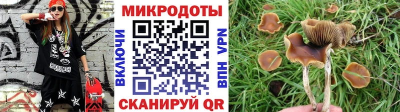 Купить закладки  Усть-Джегута  Псилоцибиновые грибы Psilocybine cubensis 