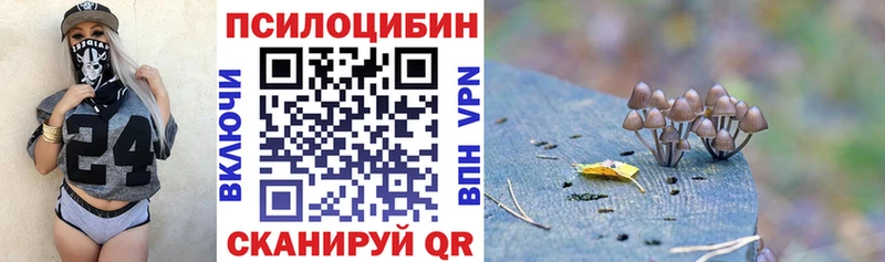 Псилоцибиновые грибы Cubensis Усть-Джегута